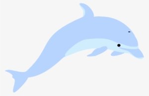 Logo:3bdry-Jarby= Dolphins