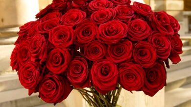 Beautiful:9nq6ddfdfq4= Red Rose Bouquet