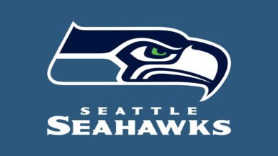 Logo:-7ez0_Yeuye= Seahawks