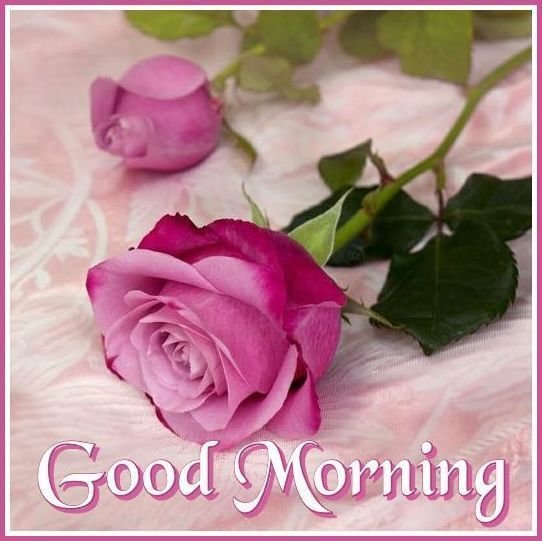 Beautiful:9wbski9gule= Rose:Ysuxrvcamsw= Good Morning