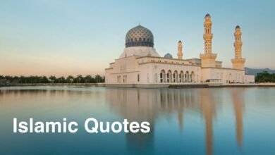 Beautiful:05q1uhzw0je= Islamic Quotes