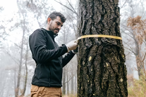 The Undeniable Benefits of Professional Home Tree Trimming Services Trees are magnificent assets to any property, offering shade, beauty, and often enhancing curb appeal. However, like any living part of your landscape, they require regular care to remain healthy, safe, and aesthetically pleasing. While it might seem like a task you can tackle yourself, the benefits of opting for professional home tree trimming services far outweigh the DIY approach. Engaging experts ensures that your trees not only thrive but also contribute positively to your property's overall well-being and safety. Enhancing Tree Health and Longevity Professional Home Tree Trimming is crucial for the long-term health of your trees. Experts know precisely which branches to remove – those that are dead, diseased, or insect-infested – preventing the spread of issues to healthy parts of the tree. Proper pruning techniques also improve air circulation and sunlight penetration within the canopy, which are vital for healthy growth. By removing competing or crossing branches, professionals encourage stronger structural development, leading to more resilient trees that can withstand environmental stressors and enjoy a longer lifespan. Improving Property Safety and Preventing Damage Neglected trees can pose significant safety hazards. Overgrown or weak branches, especially during strong winds, storms, or heavy snowfall, can break off and cause substantial damage to your home, vehicles, or even injure people. Professional home tree trimming systematically identifies and removes these dangerous limbs before they become a problem. This proactive approach significantly reduces the risk of property damage and ensures the safety of your family and visitors, offering peace of mind, especially during unpredictable weather conditions. Boosting Curb Appeal and Property Value A well-maintained landscape, featuring healthy and shapely trees, significantly enhances your property's curb appeal. Professional trimmers can shape trees to complement your home's architecture and the surrounding garden, creating an attractive and manicured look. Overgrown or unruly trees can detract from your property's aesthetic and even obscure views. Investing in regular home tree trimming not only makes your property more inviting but can also increase its market value, making it a wise investment for homeowners. Expertise in Tree Species and Proper Techniques Different tree species have unique growth habits and require specific trimming techniques. What works for an oak might not be suitable for a maple. Professional arborists possess extensive knowledge about various tree species, understanding their growth patterns, disease susceptibility, and optimal pruning times. They use specialized tools and proven methods to make precise cuts that promote healing and prevent future issues. Their expertise ensures that your trees receive the correct treatment, preventing damage that can arise from improper trimming by amateurs. Saving Time and Effort Tree trimming, especially for larger trees, is physically demanding and time-consuming work. It often involves working at heights, using heavy equipment, and requires significant cleanup. By hiring professionals, you free up your valuable time and energy, which can be better spent on other pursuits. The experts arrive with all the necessary tools and equipment, complete the job efficiently, and handle all the debris removal, leaving your property clean and tidy. This convenience is a major benefit of professional home tree trimming services.