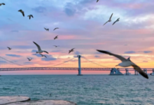 Exploring Liaoning: History, Nature, and Coastal Escapes