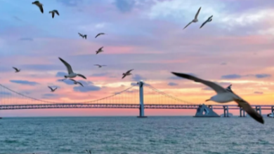 Exploring Liaoning: History, Nature, and Coastal Escapes