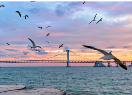 Exploring Liaoning: History, Nature, and Coastal Escapes