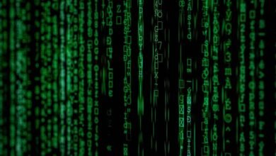 data codex for identifiers