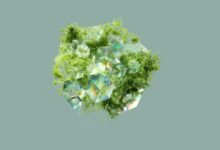 enterprise data integrity assessment