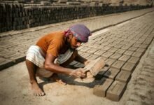 enterprise numeric alignment digest