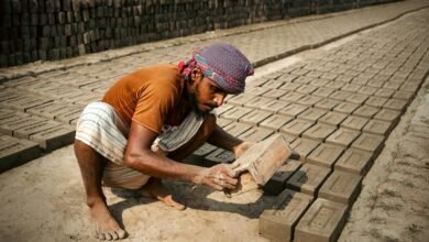 enterprise numeric alignment digest