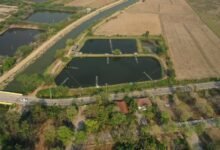 quantitative identifier control overview