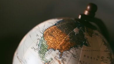 reference integrity overview report